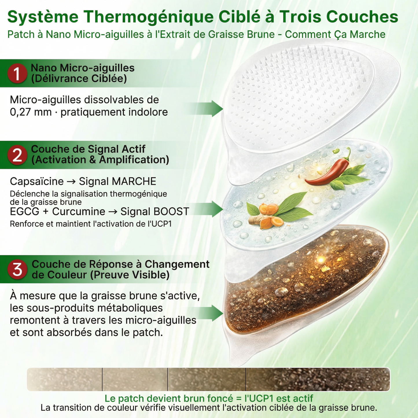 𝐇𝐞𝐚𝐥𝐫𝐢𝐳𝐞®🚨 🚨 VENTE FLASH : Passez au statut VIP MAINTENANT – 40 % de réduction ⏳ (Plus que 24 heures !) 🔥