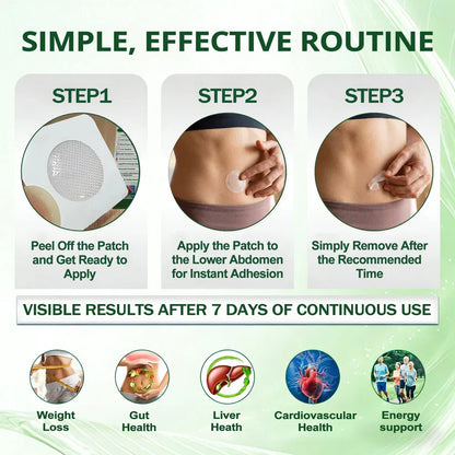 FDA Registered & GMP Certified  | 🧑‍⚕️🩺 Solaroza® Moringa & Berberine 10-IN-1 Advanced NanoMicroneedle Patch |  Backed by Scientific Evidence |10-in-1 Formula | Results in 5 Days🌊